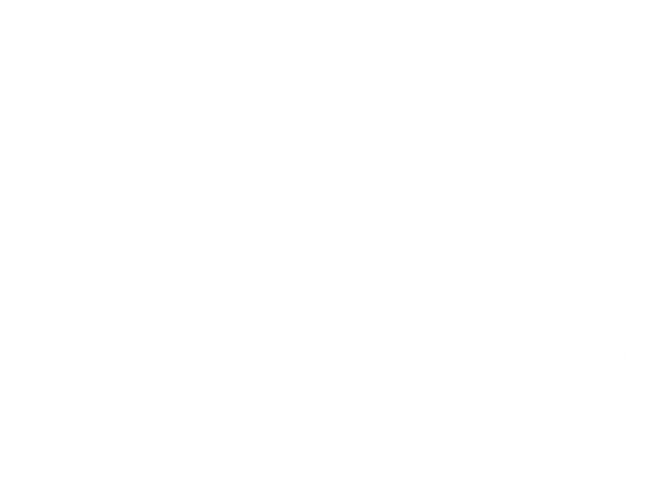 Zingoes